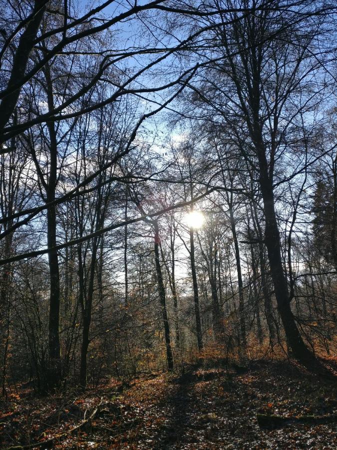 Katharina Ferienwohnung Am Eifelsteig Neroth Esterno foto